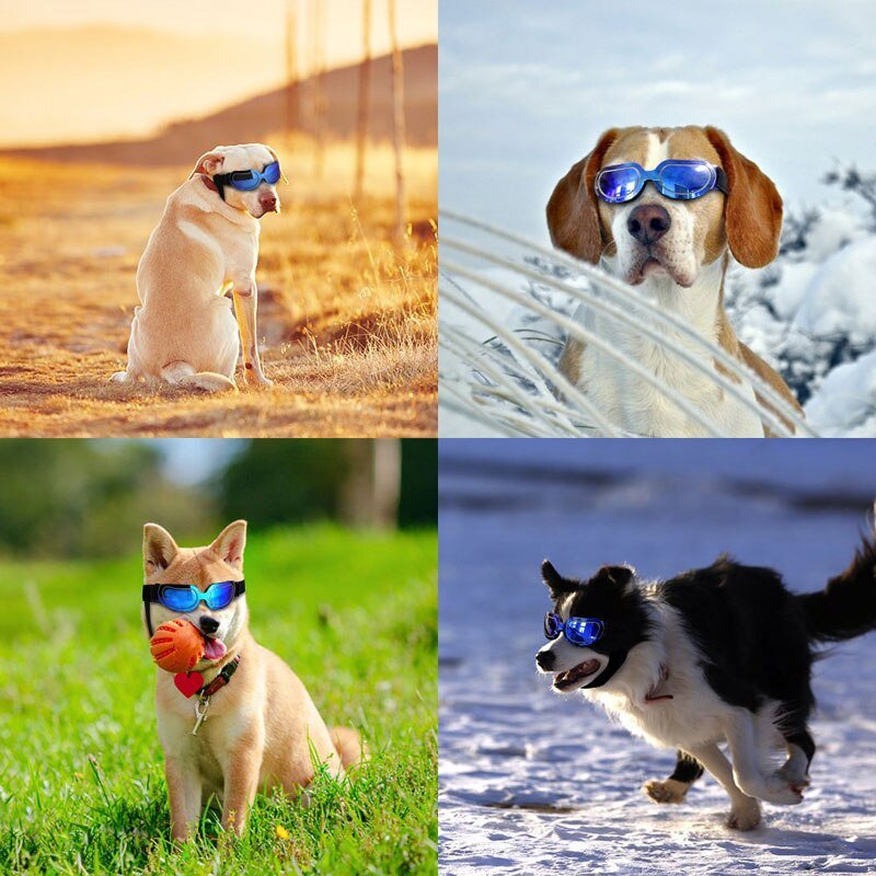 
                  
                    Dog Sunglasses - Gorilla Sunnies - Sunglasses & Eyewear
                  
                