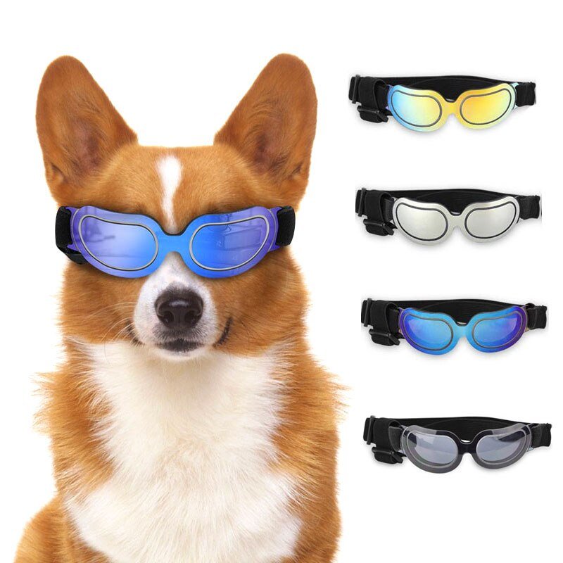 Dog Sunglasses - Gorilla Sunnies - Sunglasses & Eyewear