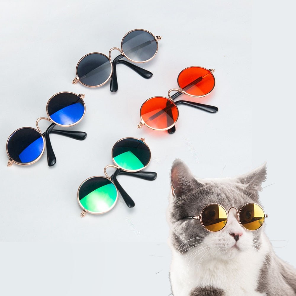 
                  
                    Pet Sunglasses - Gorilla Sunnies - Sunglasses & Eyewear USA - AUS
                  
                